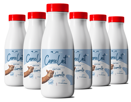 Labellisation du lait de chamelle : finalisation du projet - Camel Milk -  Camel Milk