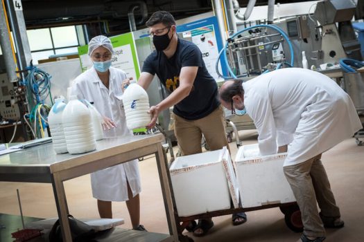 laboratoire transformation lait de chamelle
